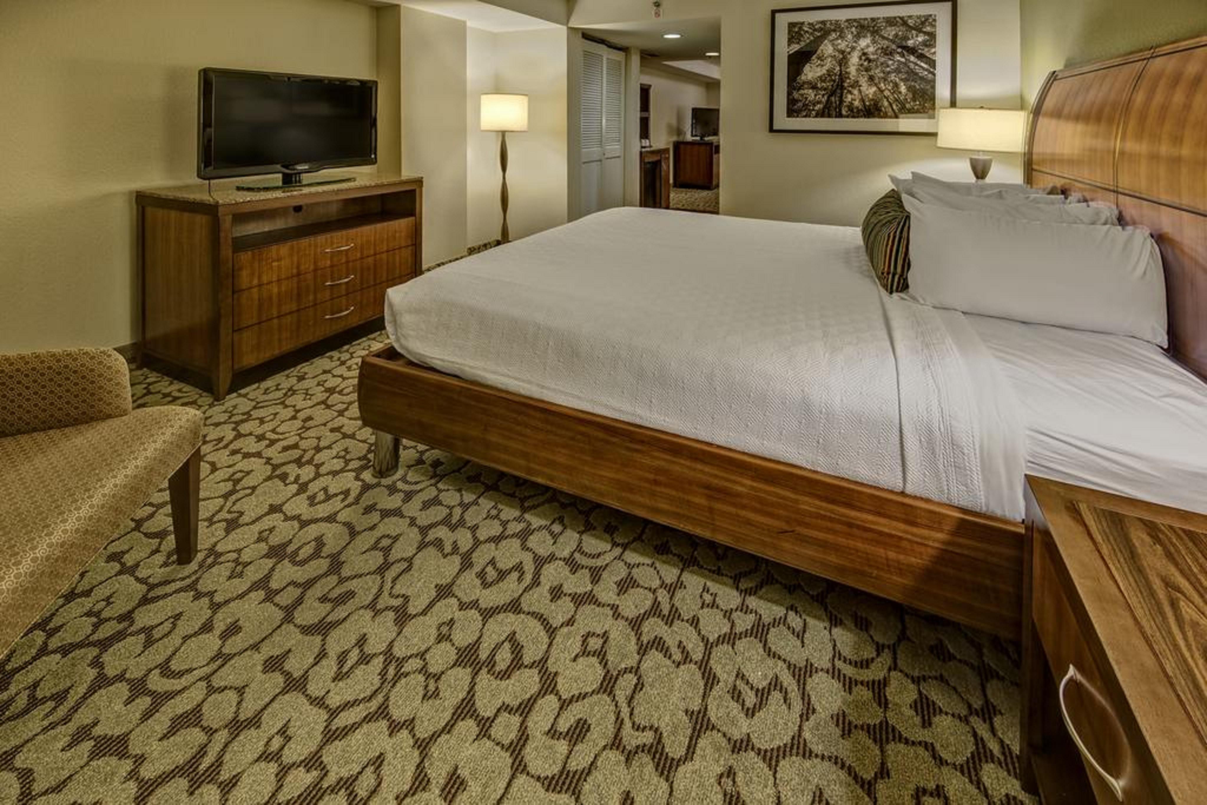 Hotel Hilton Garden Centro De Convenciones Nueva Orleans